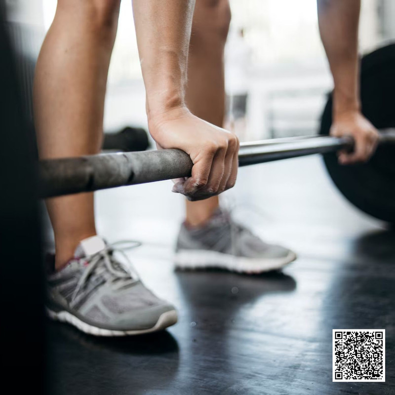 Understanding Reserve Prices In Gym Equipment Auctions