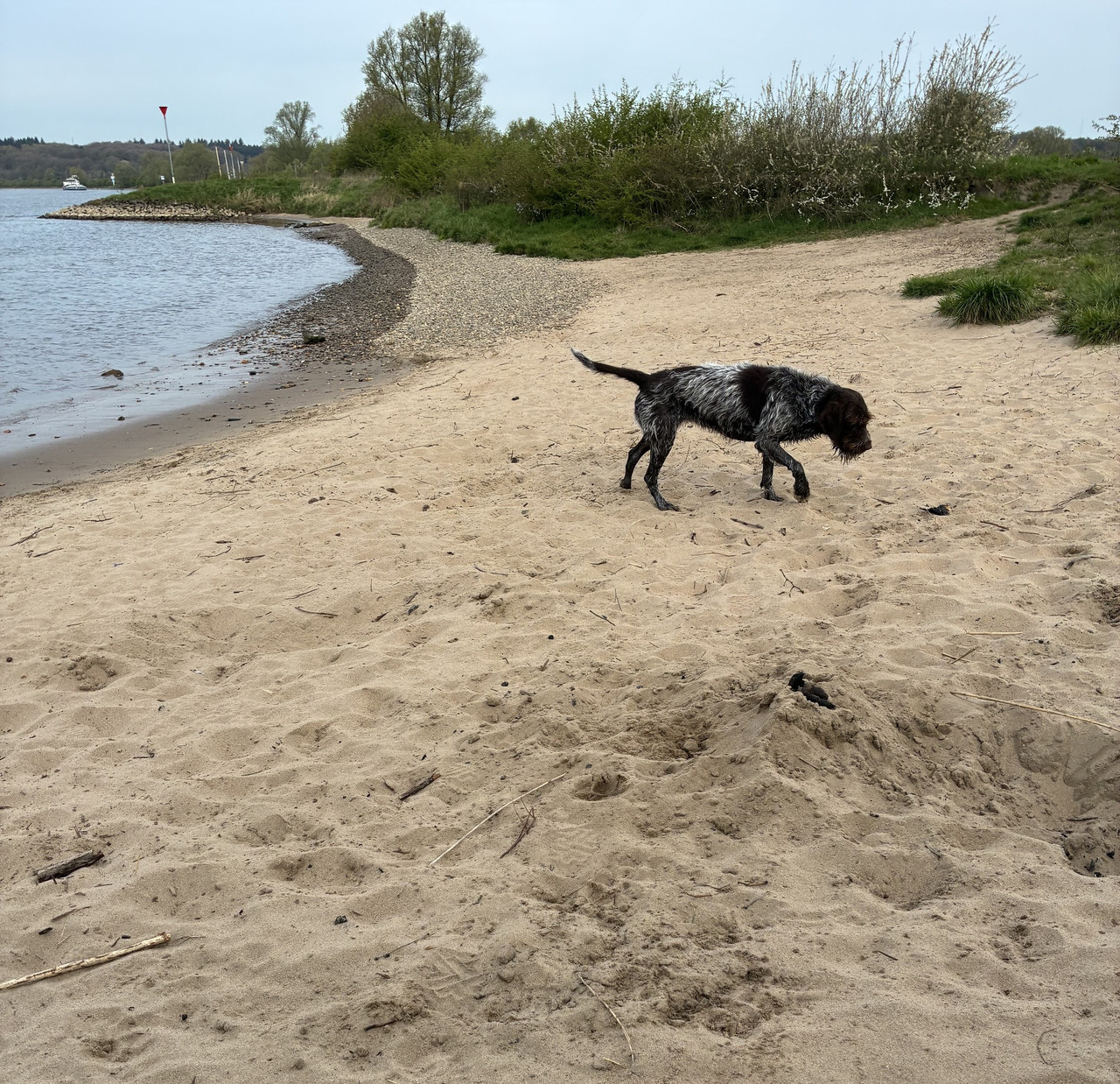 2026 11 04 Claire op strandje IMG 5562 (002)