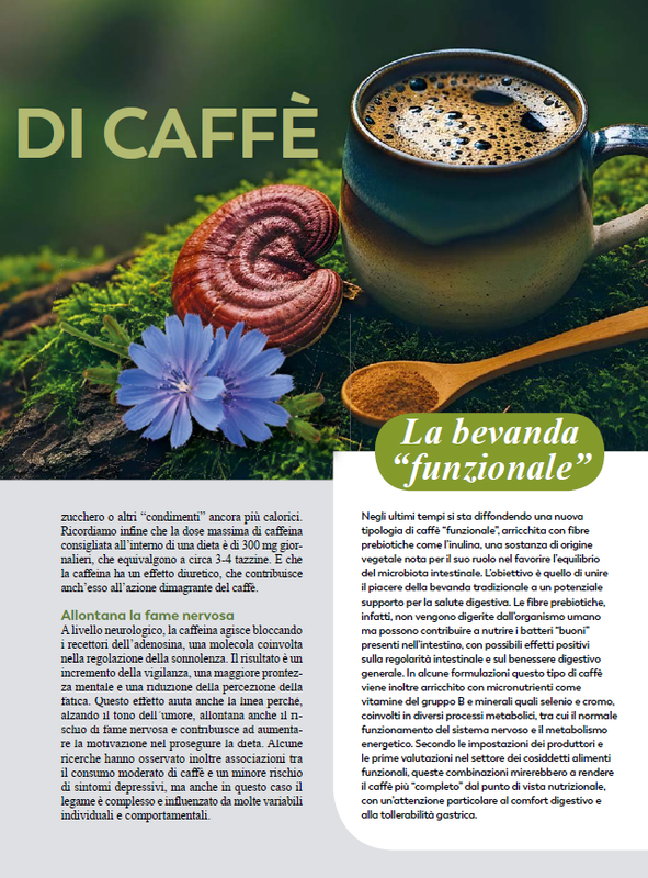 Dimagrire Set 2026 (6)