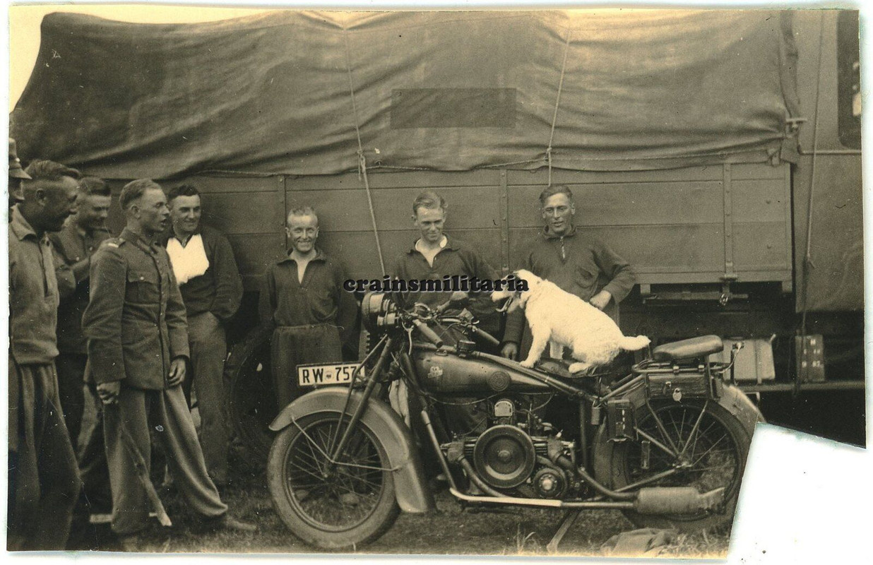 Orig. Foto A.R.5 Hund auf seltene Krad Motorrad in Lager DÖBERITZ b. Berlin 1933