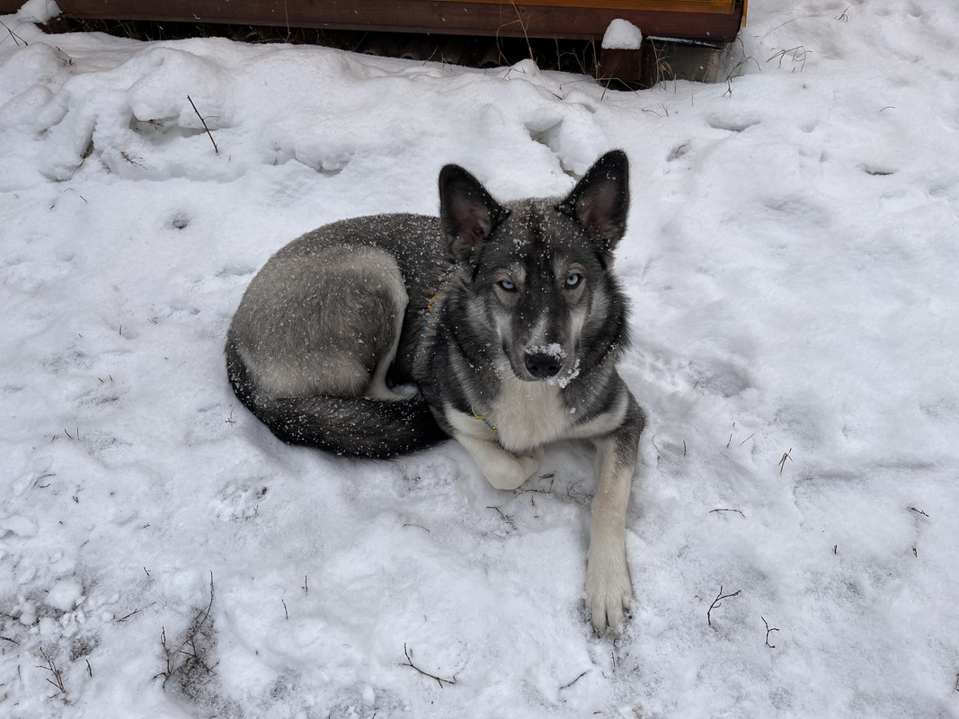 FAA5328F-3679-4D83-AE6E-06B0A455787F