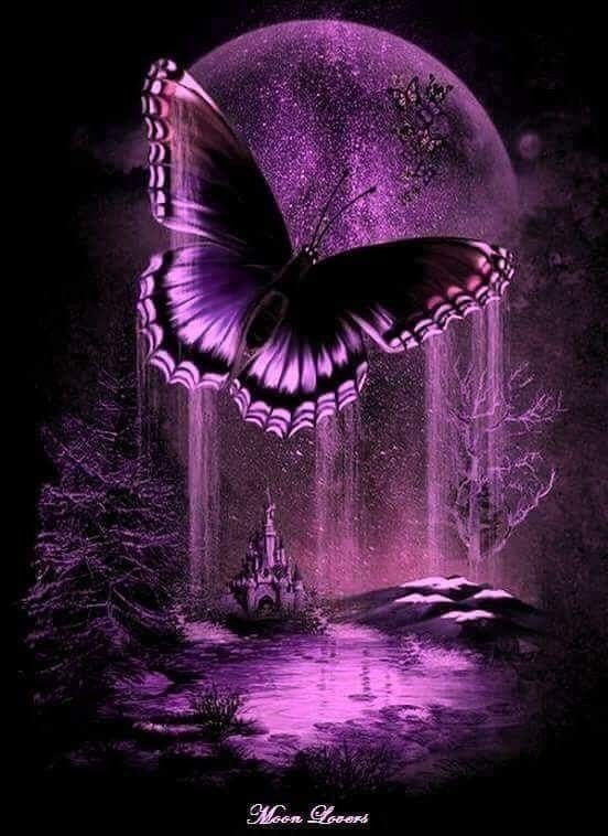 purplebutterflylake.jpg