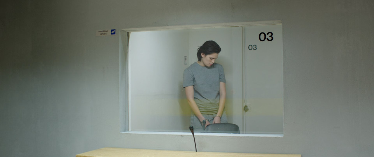 Raw 2016 (1080p x265 10bit Tigole).mkv_snapshot_