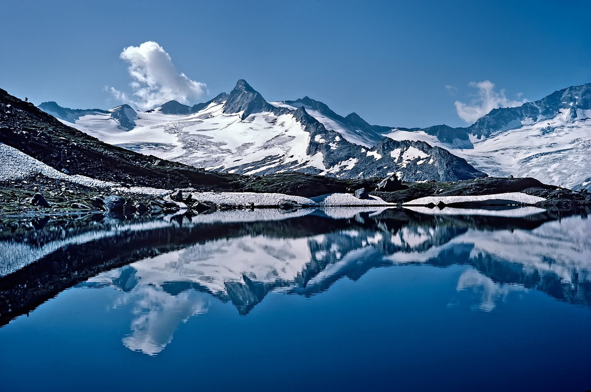 blue-white-alpine-dis.jpg