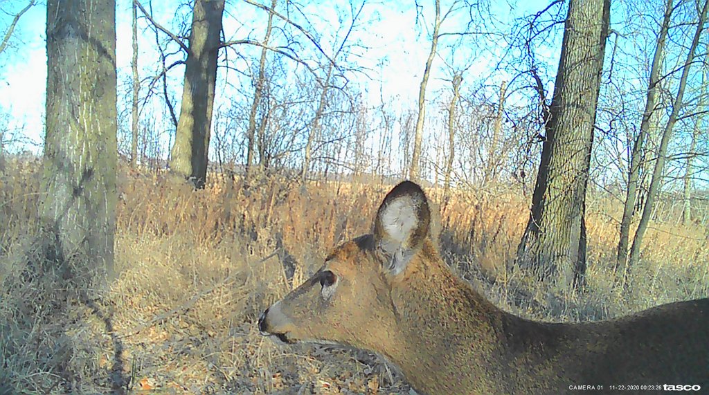 808F577A-A07A-4E04-A418-975B0DFB306D