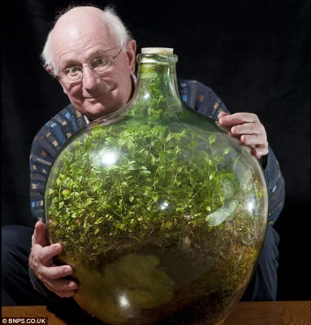 article 2267504 17212eb3000005dc 781 634x663 terrarium old