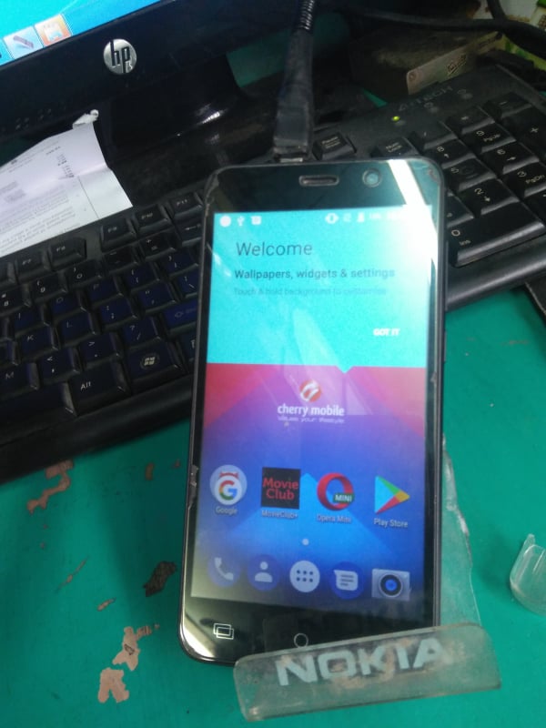 54462911_737550553306662_8805810278341017600_n