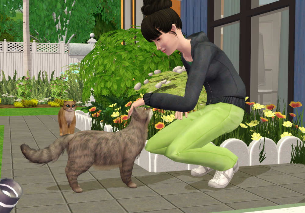 Sims2-EP9-RPC-2021-11-26-11-42-06-12