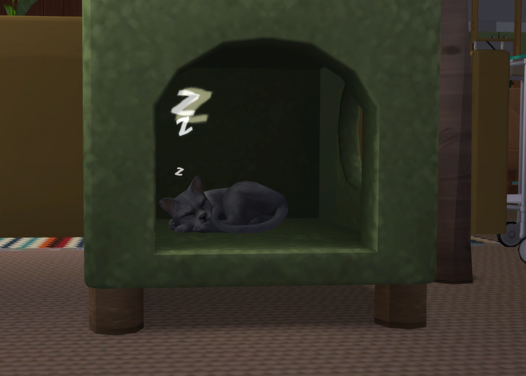 Sims2-EP9-RPC-2024-03-24-14-37-52-50