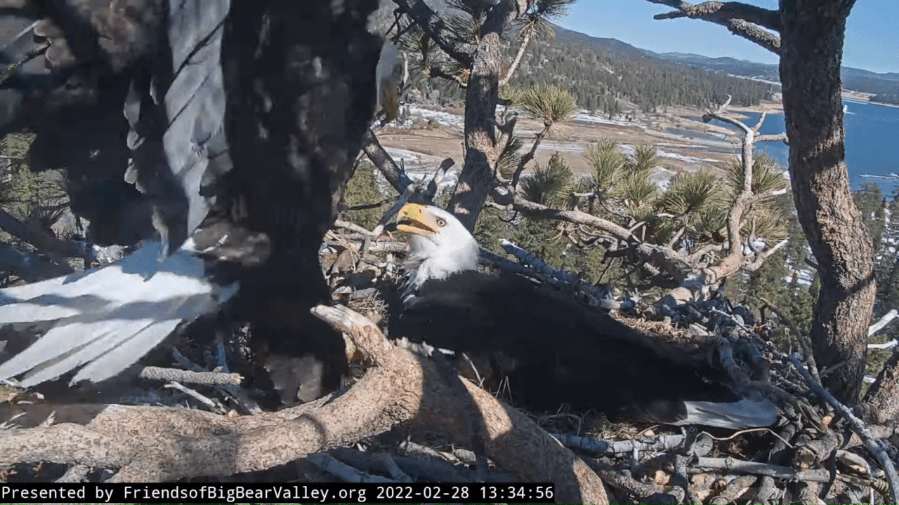 Webp.net-gifmaker (10)