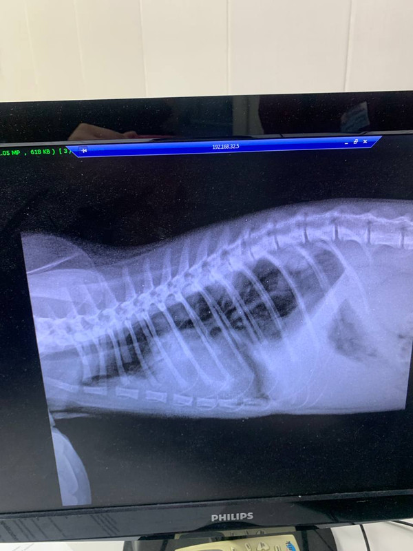 08026243-9012-43E4-B44B-AEBB6A05BDFD