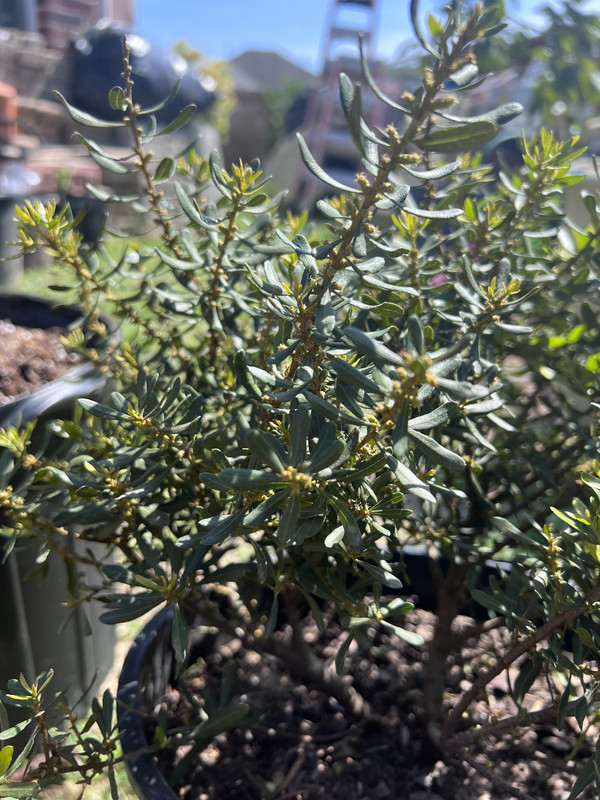 8B213EC1-9595-4FD2-B2B5-9FA7C1D0110E