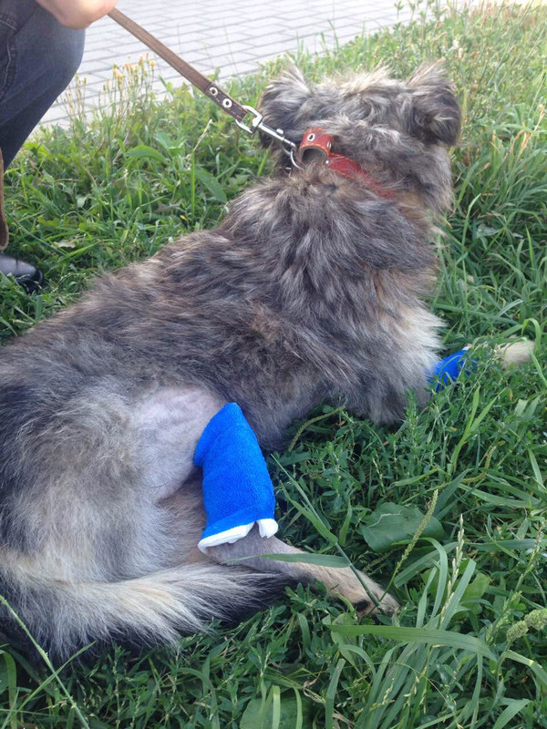 67AE9699-5D09-4A94-B86A-E5B7CC9C361A