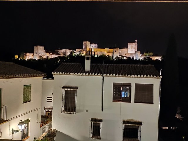 Miércoles 8/07. Catedral, Capilla Real, Monumentos Andalusís y cena con vistas. - Córdoba y Granada en un verano atípico. (26)