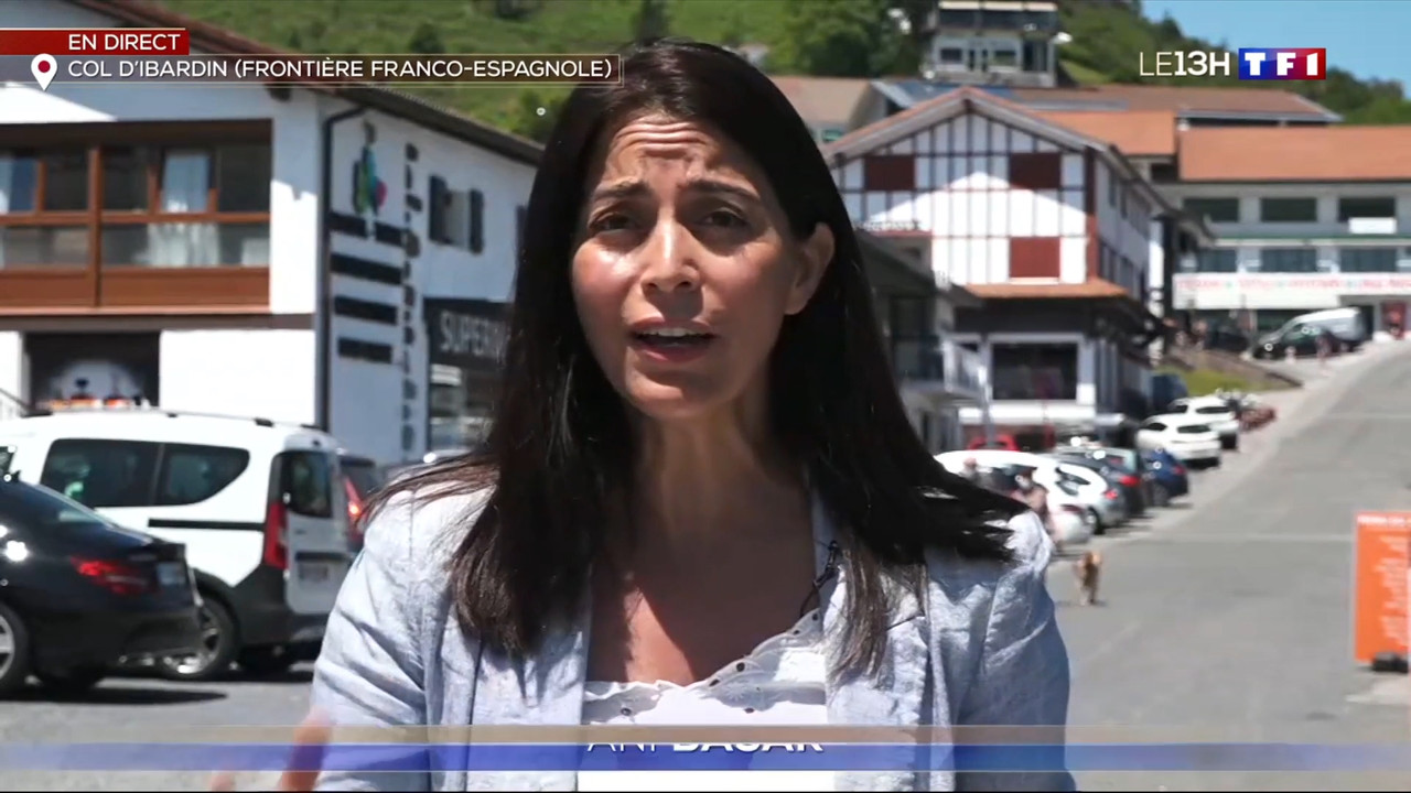 2020-06-21_13_00_TF1_Le-13h.mp4_snapshot_11.09.391