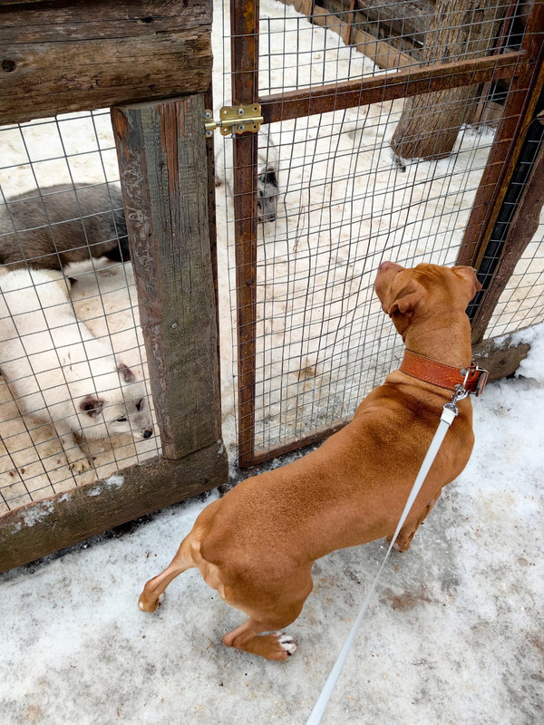 9CD985D7-40C2-4B9D-8060-4891ED53205C