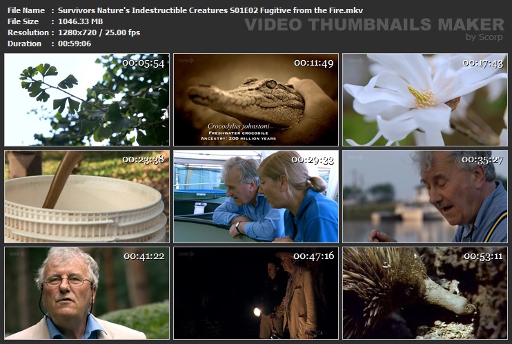 Survivors Nature's Indestructible Creatures S01E02 Fugitive from the Fire.mkv