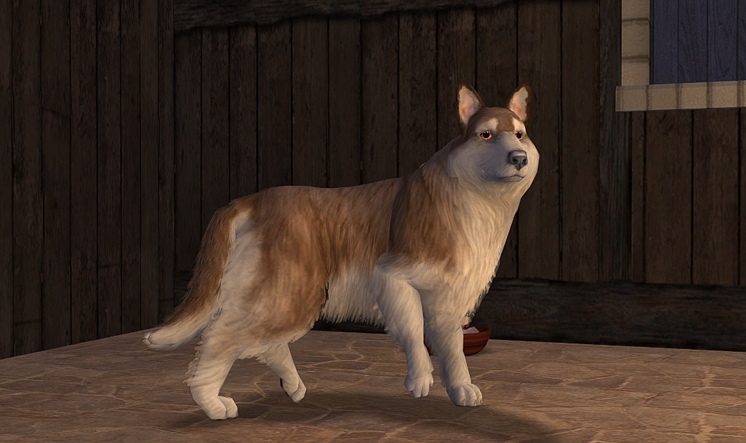 screenshot_2026_03_11_20_49