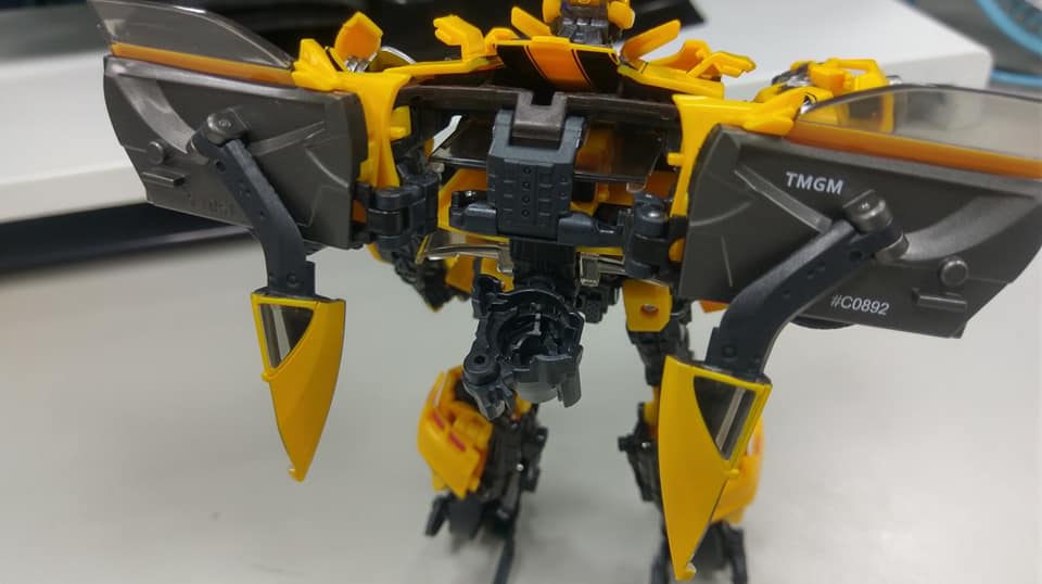 MPM-3-Bumblebee-10