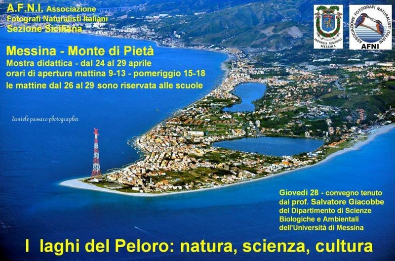 PILON TORRE DE FARO-23-4-2019 - Italia y sus pueblos-2018/2019/2023 (1)