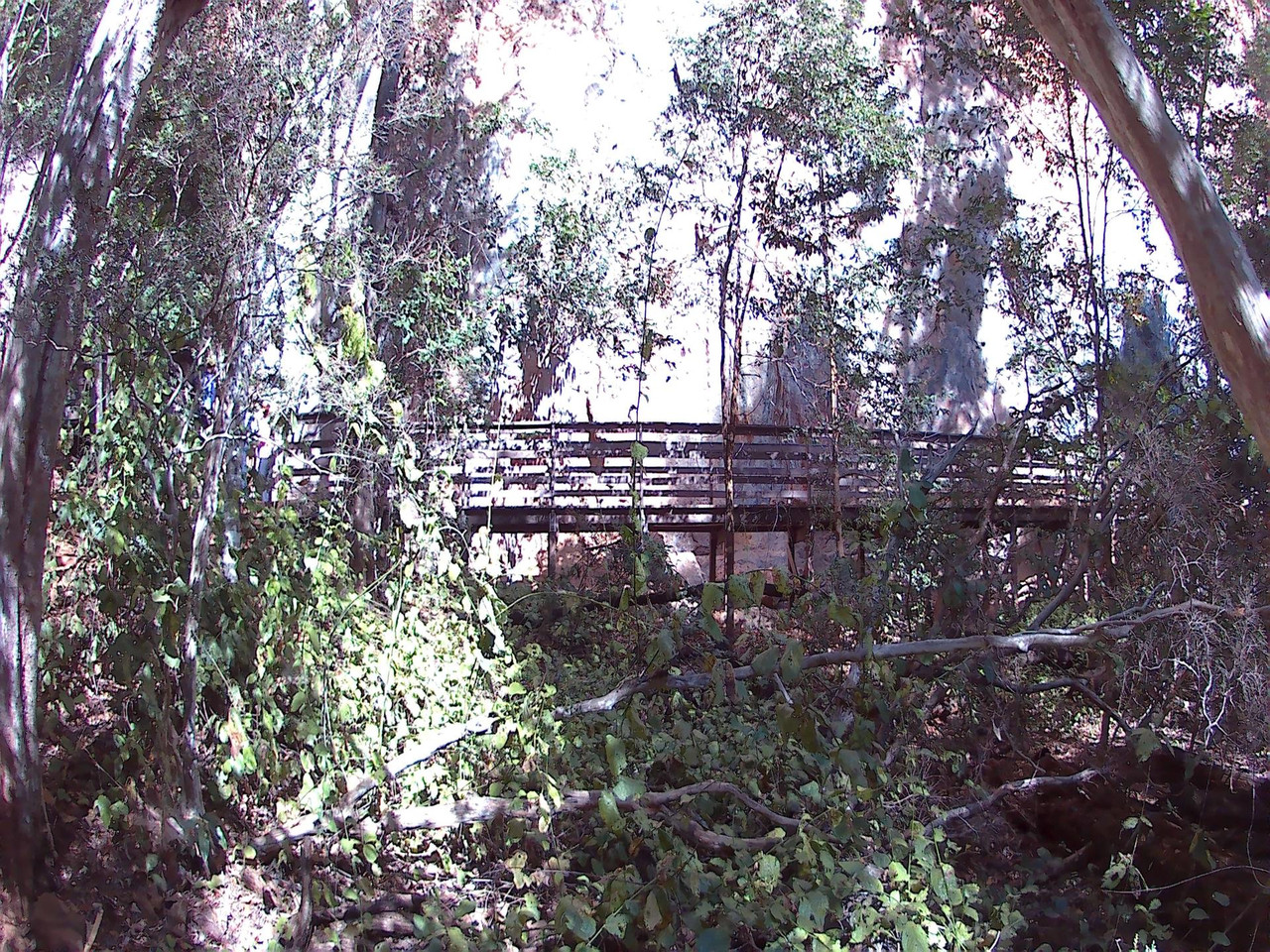 01 (12)