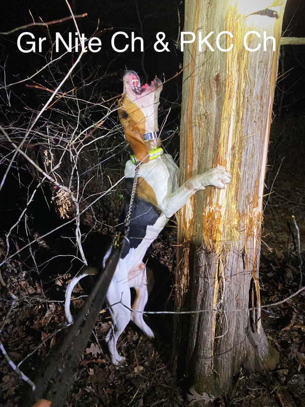 474BCF24-7F4A-4B04-BA3C-801A030A9567