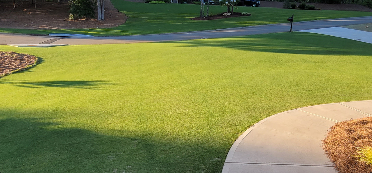 Screenshot_20210622-204345_Gallery