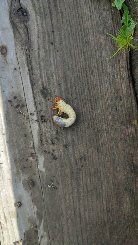 IMG_2023_07_01_16_08_38_4425112513118951929553