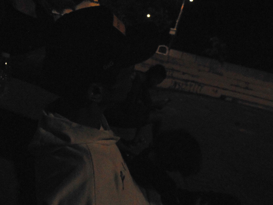 40.6.creatures of the night VI (bright up)