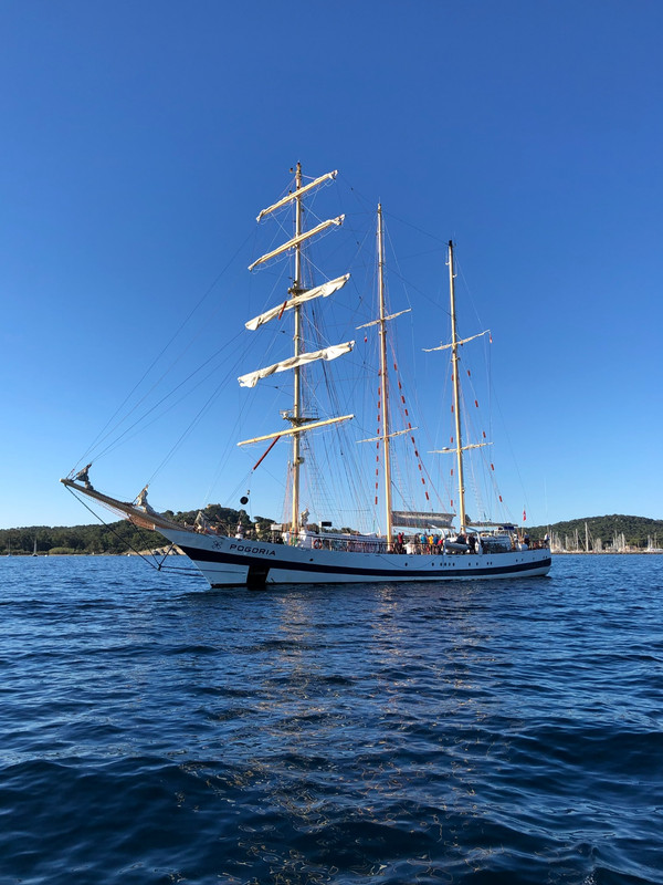 31D76FF0-89D3-49A2-8F83-276B308D1D77