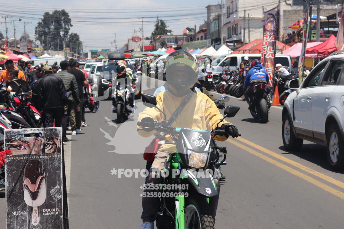 batch 20230614130846 IMG 3108 — Postimages