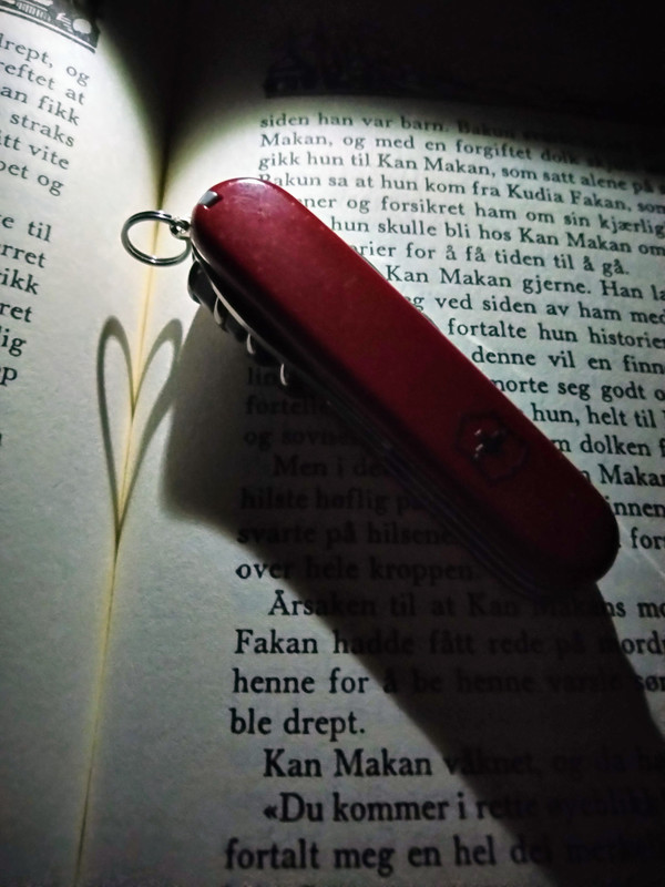 IMG-20191213-234408-2.jpg