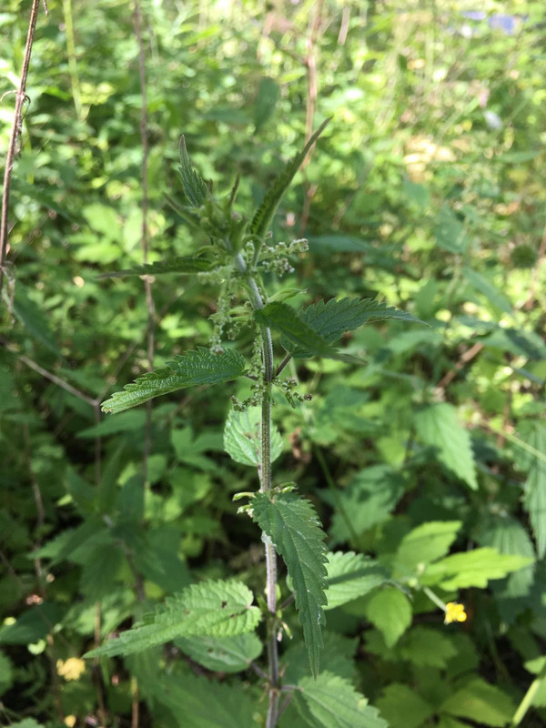 F742AA04-885B-48DE-AC98-5ACD56B0E01C