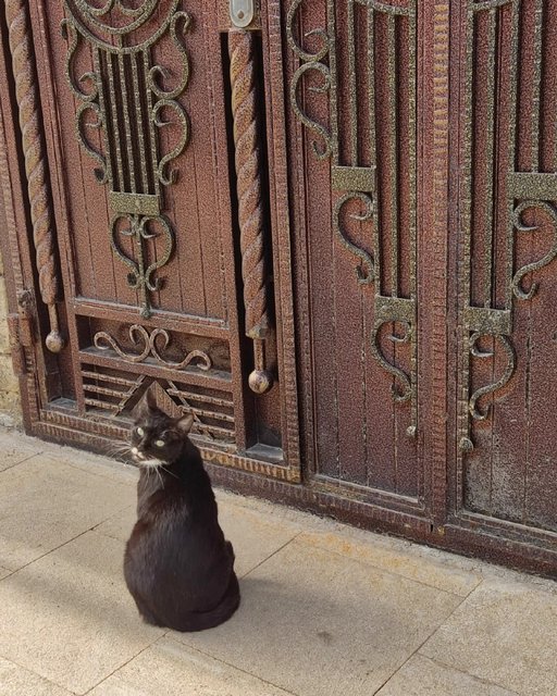 Еще немного Кавказа. Ставрополье в декабре и Дагестан в апреле