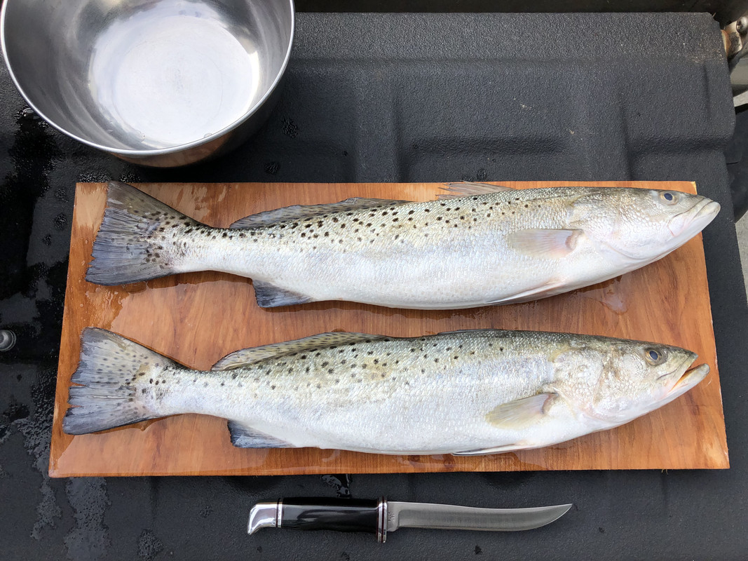 Cleaning-Specks-with-Buck-121-Fisherman-3.jpg