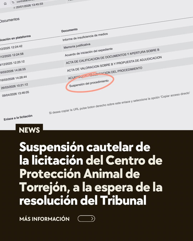 Foto cedida por Hoope