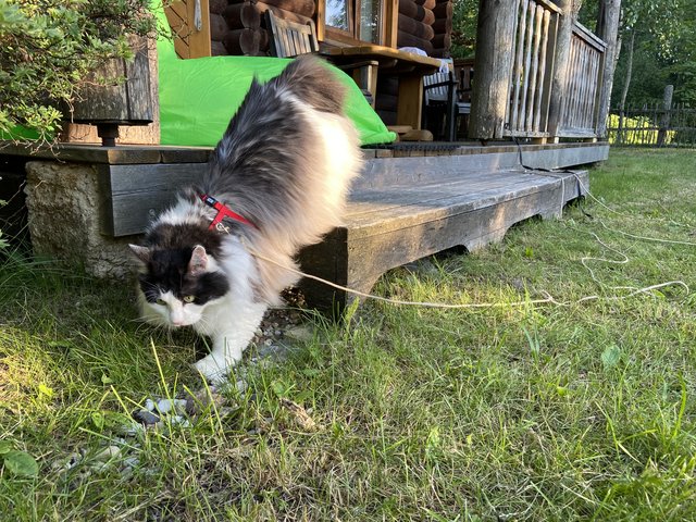 99-CC4719-5066-4-AA4-8-F9-D-5253-E55347-