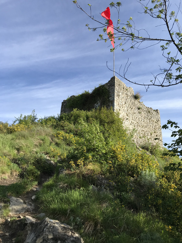 22B7FC8C-640D-4682-B56A-0F16AEF0503A