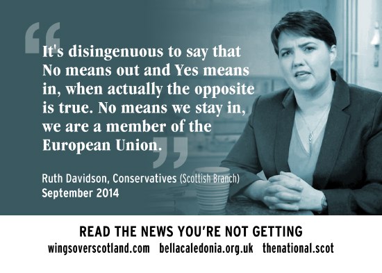 davidson-eu.jpg