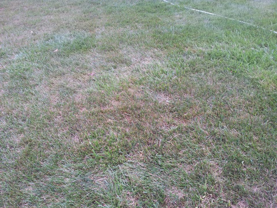 996880_10151584865610745_1405702230_n