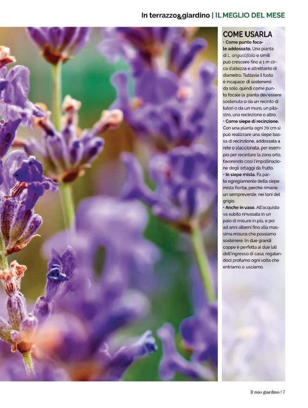 Il Mio Giar Ago-Set 2022 (2)