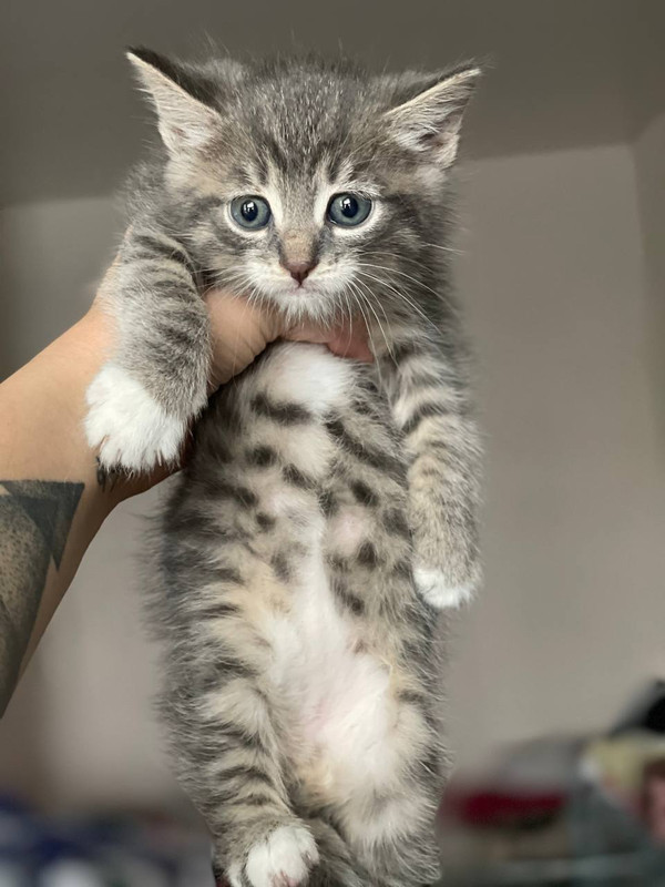 397E780C-2263-4227-A337-72B7666B3DC9