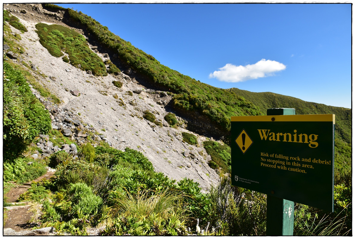 Egmont / Taranaki NP: Pouakai Circuit (marzo 2021) - Escapadas y rutas por la Nueva Zelanda menos conocida (11)