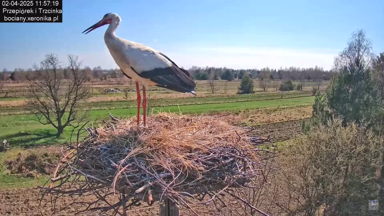 02042025krotkawizytabocka_25