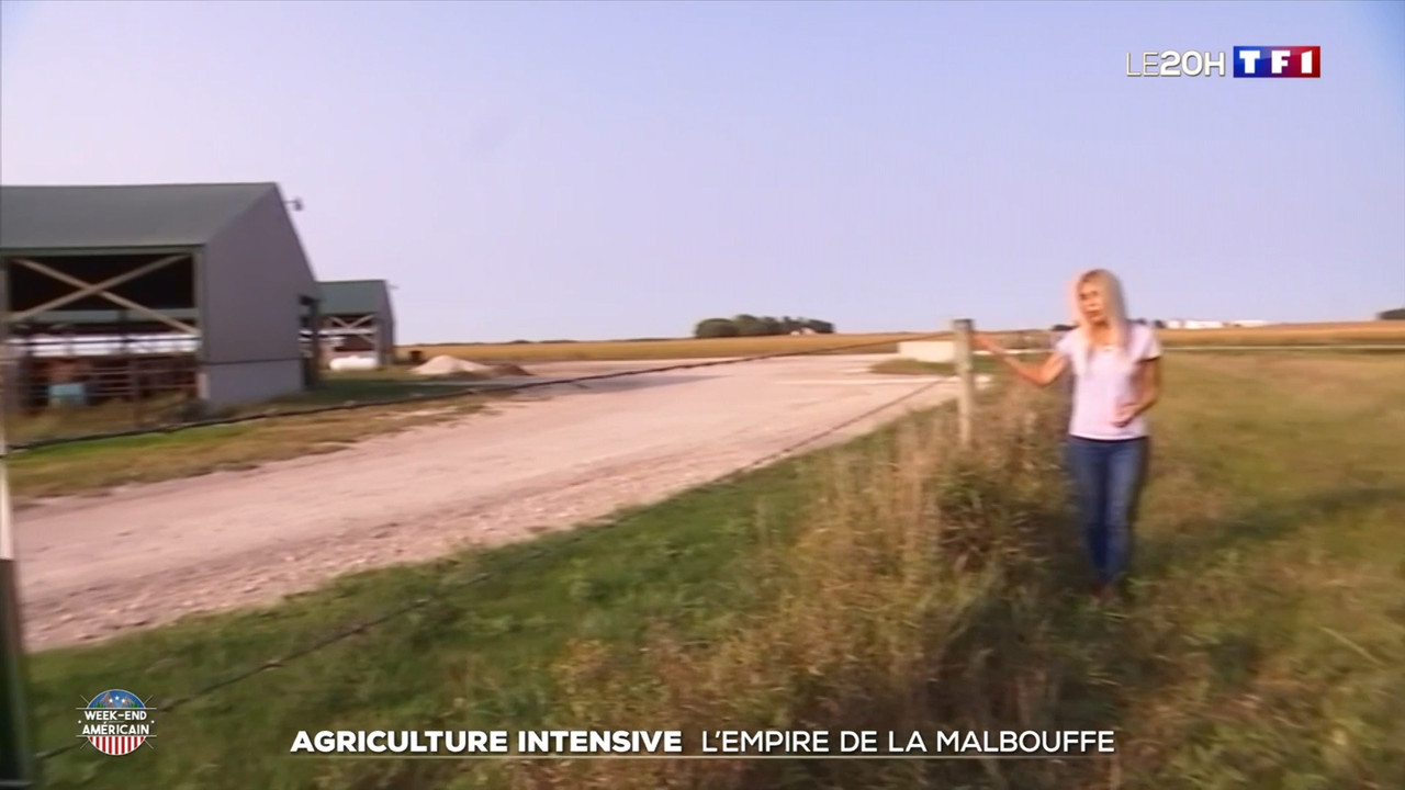 2020-10-24_20_00_TF1_Le-20h.mp4_snapshot_40.08.088