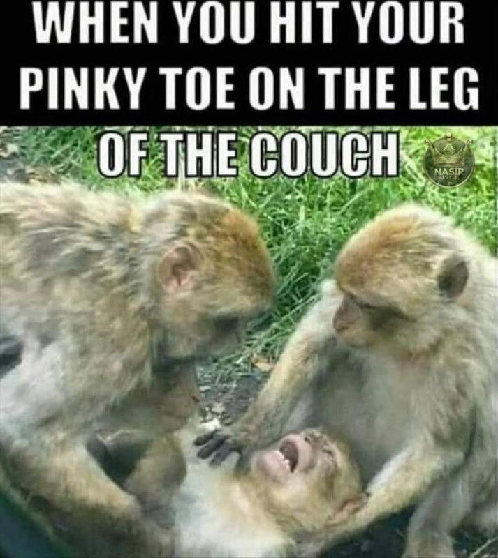 FB_IMG_1724372007222