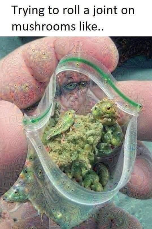 537D7CA3-D512-4806-A96B-36A852555B3E