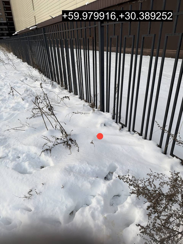 IMG 20260117 185926 288