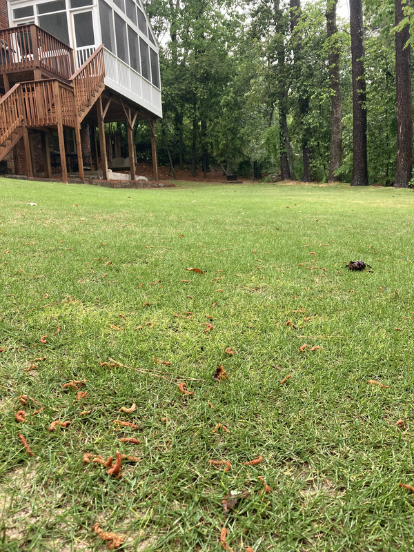 6364238E-0624-4210-9059-D960A283886B