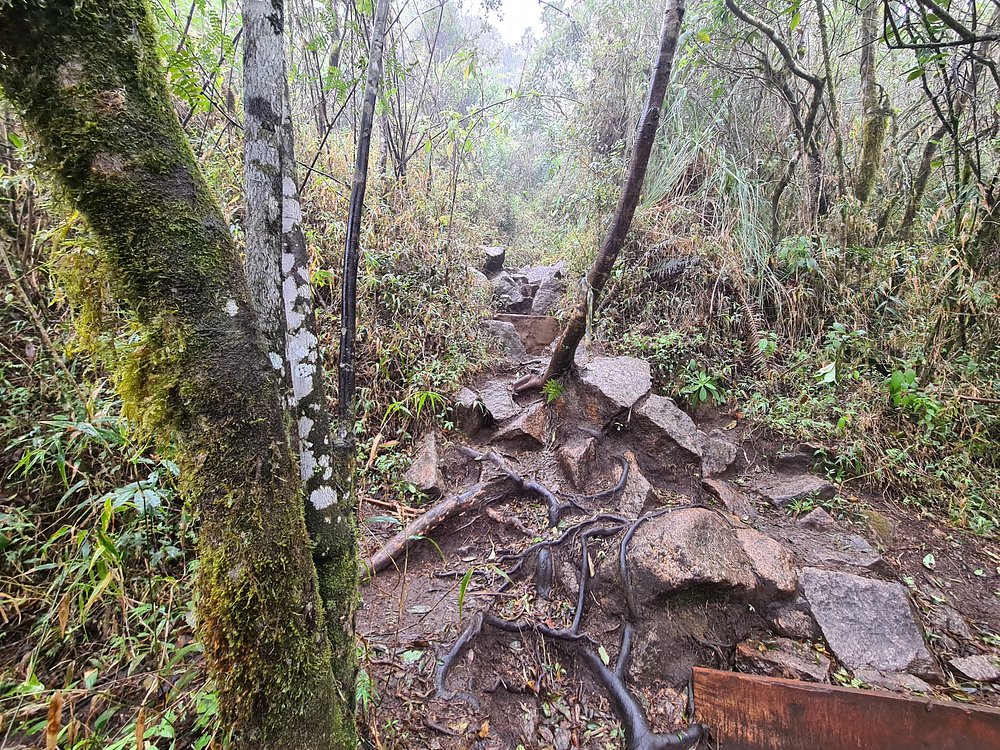 Corredor em estrada de terra durante competição de ciclismo